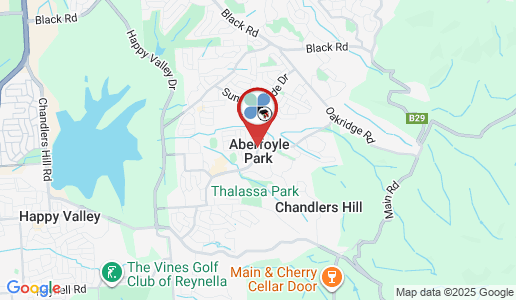 Aberfoyle Park google map