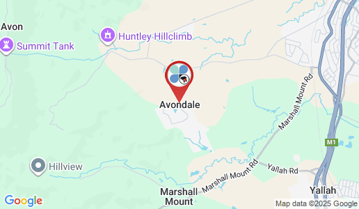 Avondale google map