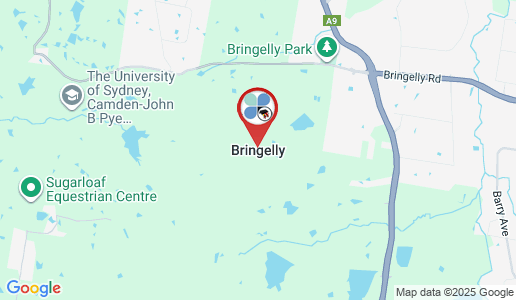 Bringelly google map