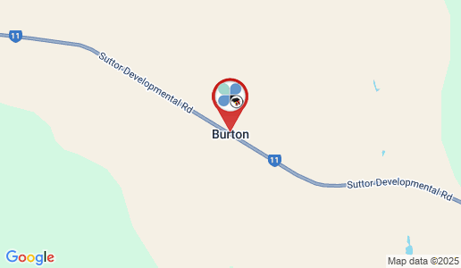 Burton google map