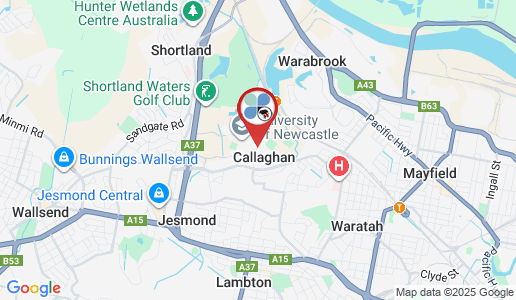 Callaghan google map