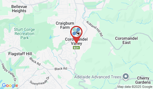 Coromandel Valley google map