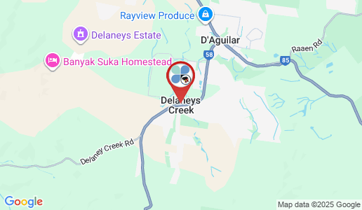 Delaneys Creek google map