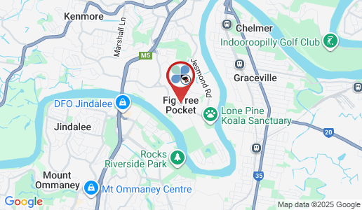 Fig Tree Pocket google map