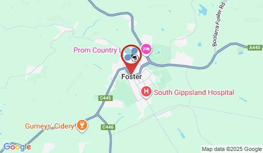 Foster google map