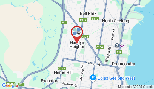 Hamlyn Heights google map