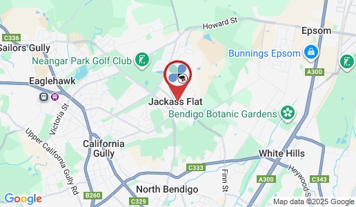 Jackass Flat google map