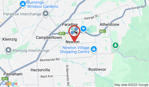 Newton google map