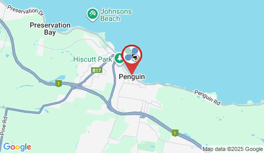 Penguin google map