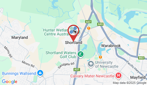 Shortland google map