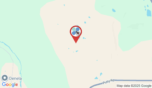 Singleton google map