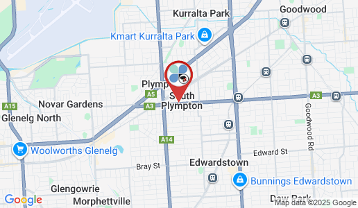 South Plympton google map