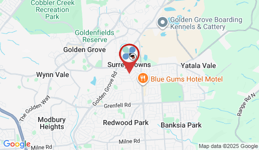 Surrey Downs google map