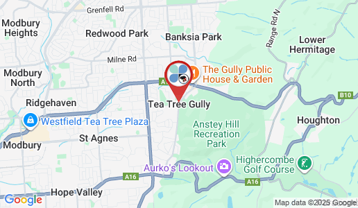 Tea Tree Gully google map