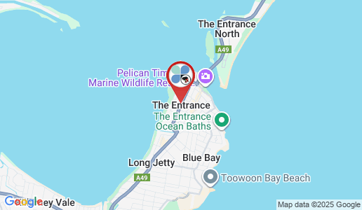 The Entrance google map