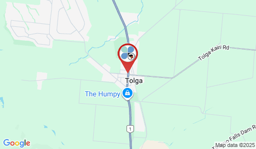 Tolga google map